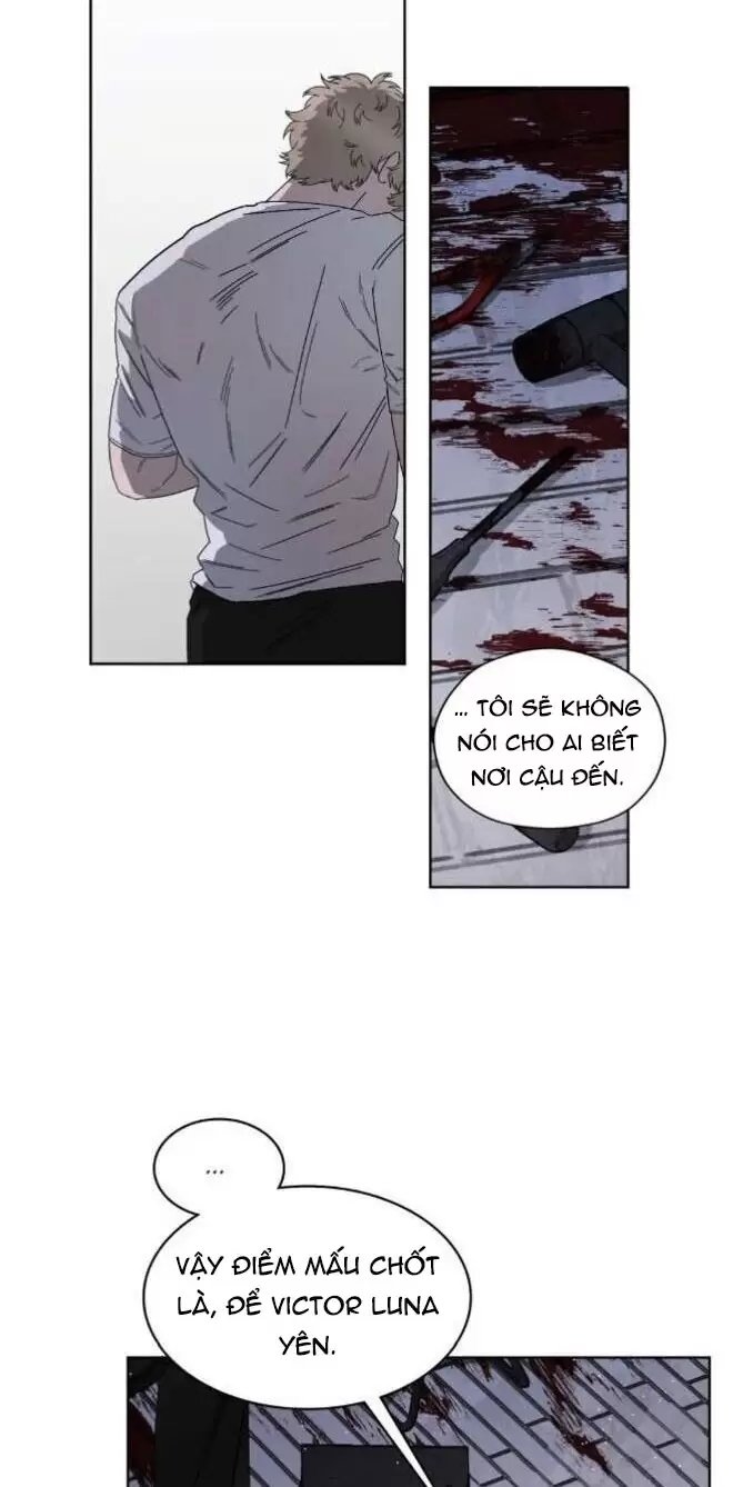 liveta chapter 37 44