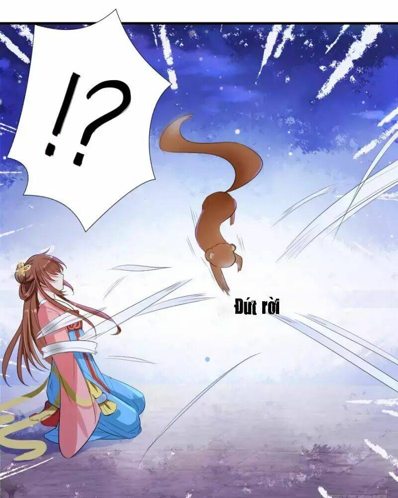 hành trình sủng đế cơ chapter 1 63