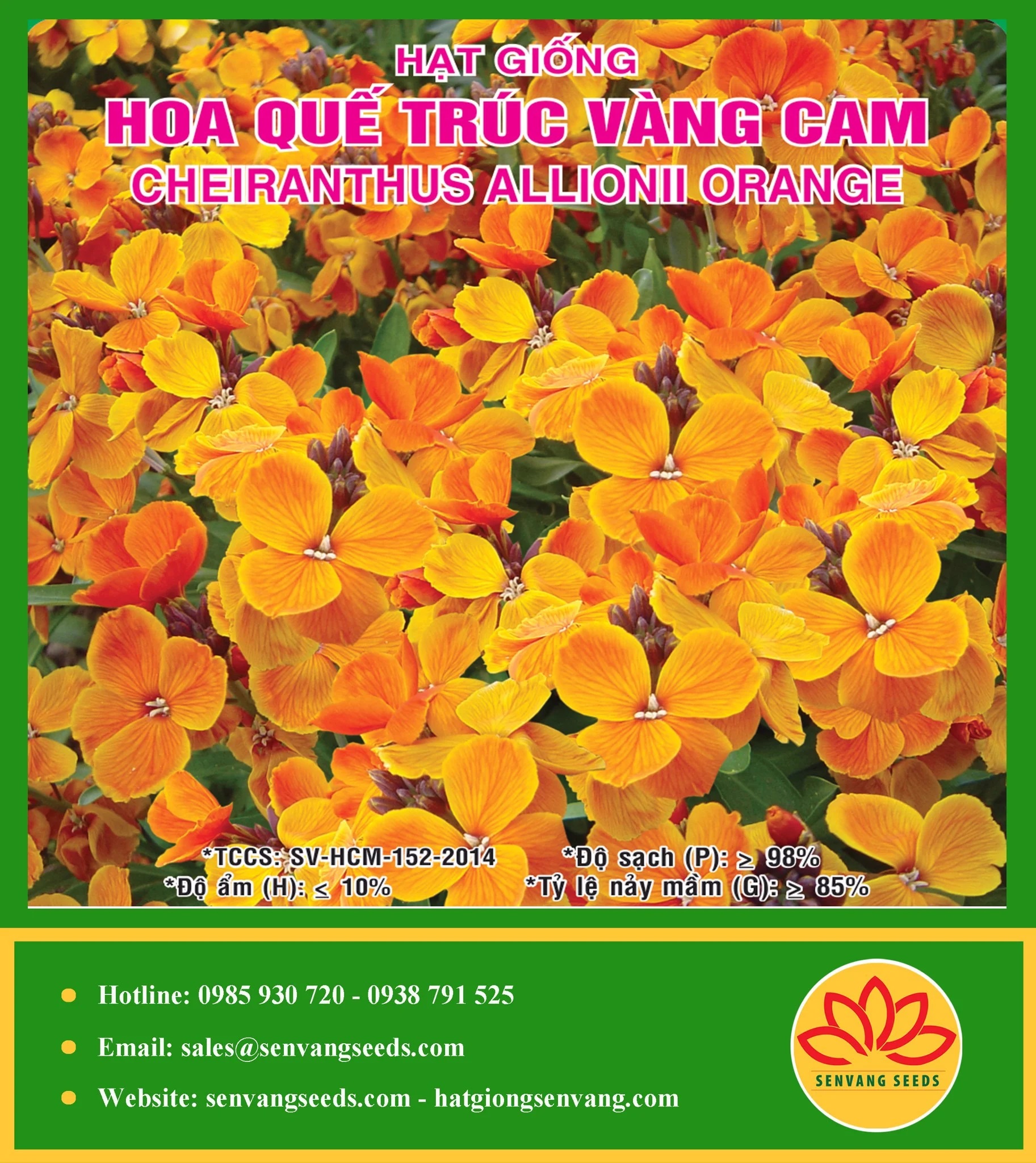 Hạt Giống Hoa Quế Trúc Vàng Cam Gói 0.2gram Sen Vàng