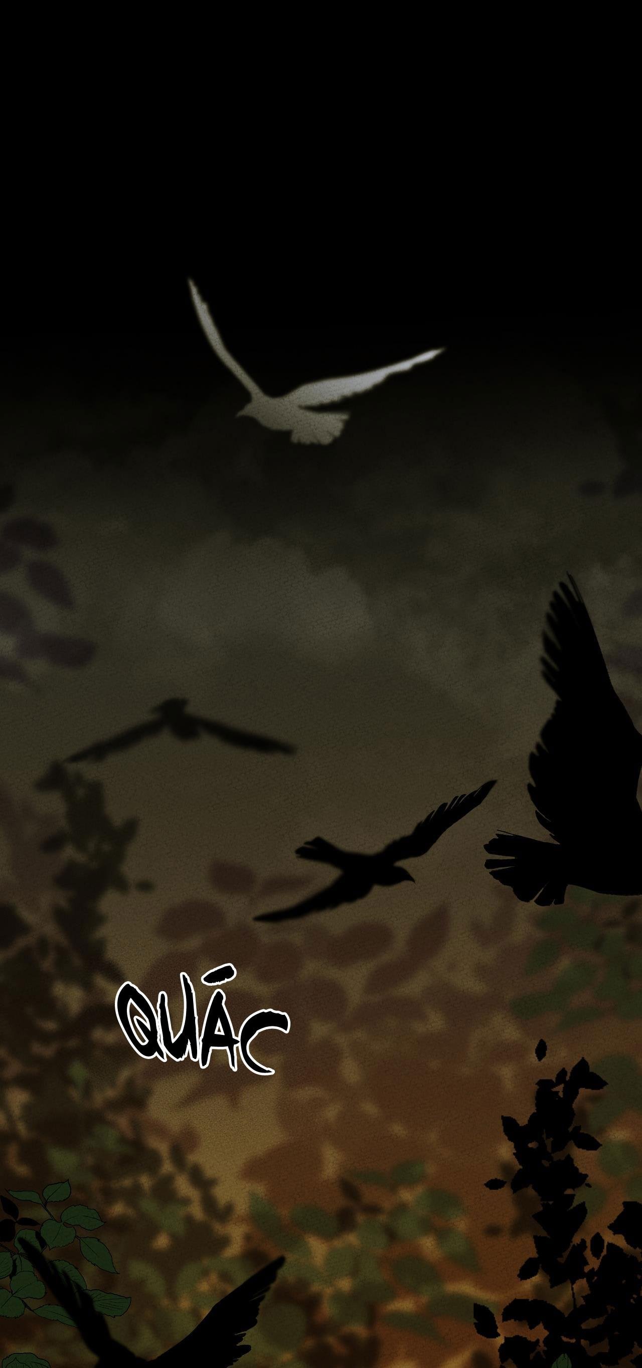 bl cổ trang - âu cổ ngắn nhà kim chapter 39.1 2