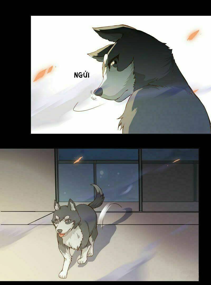 công chúa là nam nhân chapter 1 27