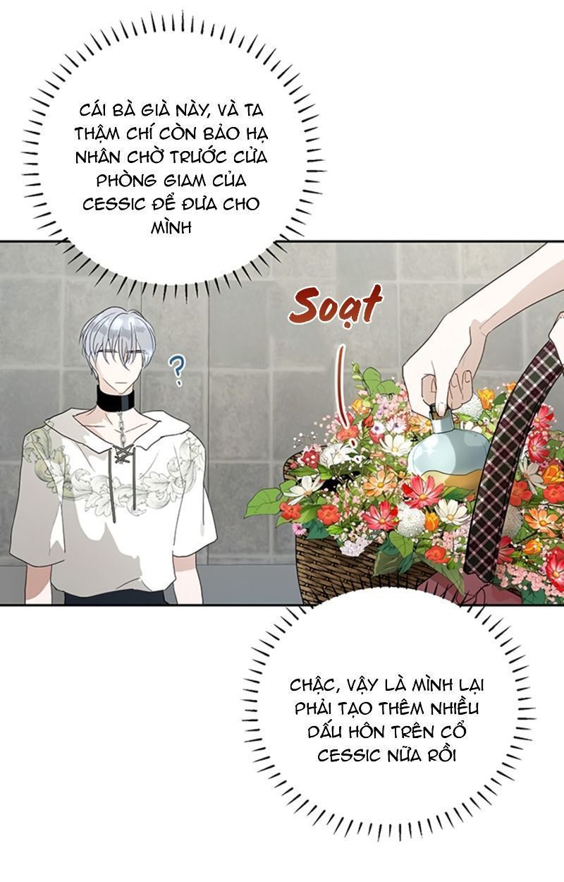 cách để cứu rỗi anh trai của nữ chính chapter 19 29