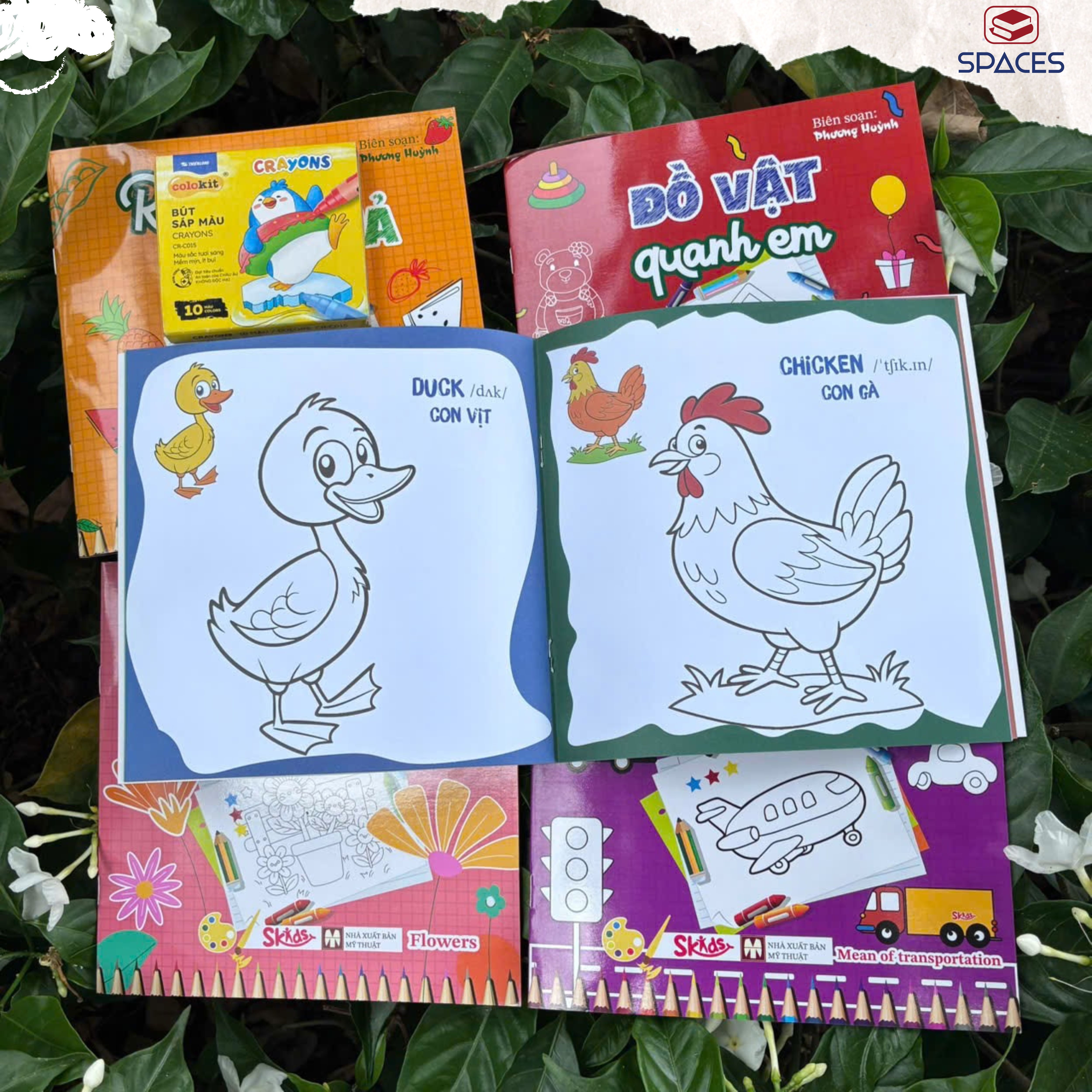 Sách - Tô Màu Thông Minh - ĐỘNG VẬT TRÊN CẠN - SKIDS