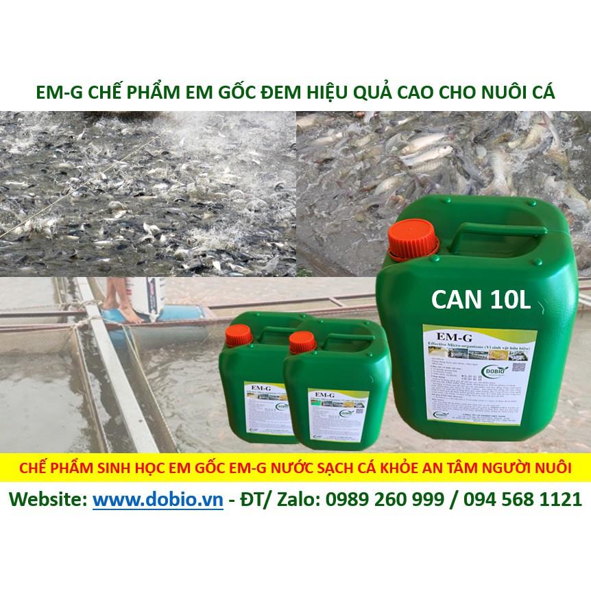 EM Gốc Can 10 lít, Chế Phẩm Vi Sinh EM Gốc, EM1, Địa Chỉ Cung Cấp Mua Bán Chế Phẩm Vi Sinh EM Gốc