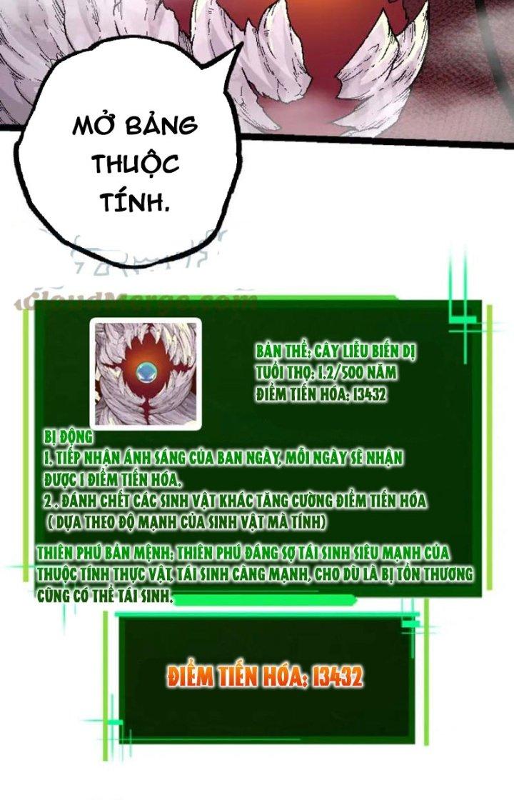 từ cây cổ thụ bắt đầu tiến hóa chapter 31 8