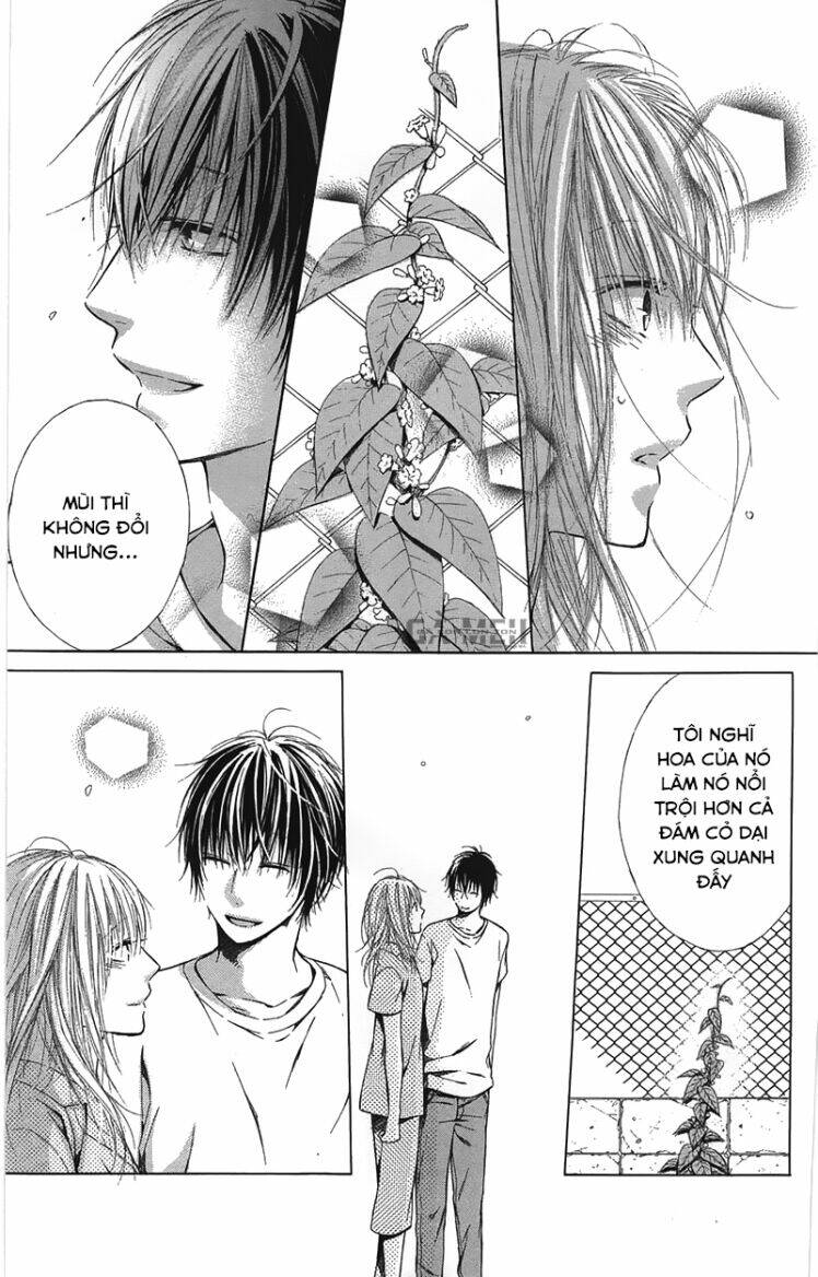 shokubutsu zukan chapter 1 38