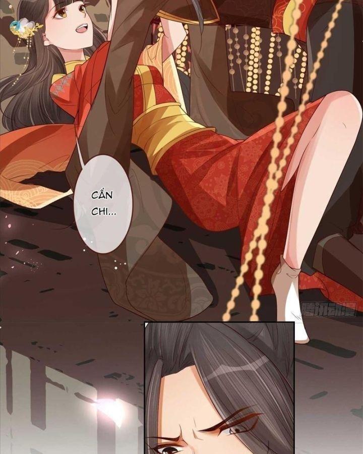 lấy thiên hạ làm sính lễ: vương phi lại trêu ta chapter 2 11