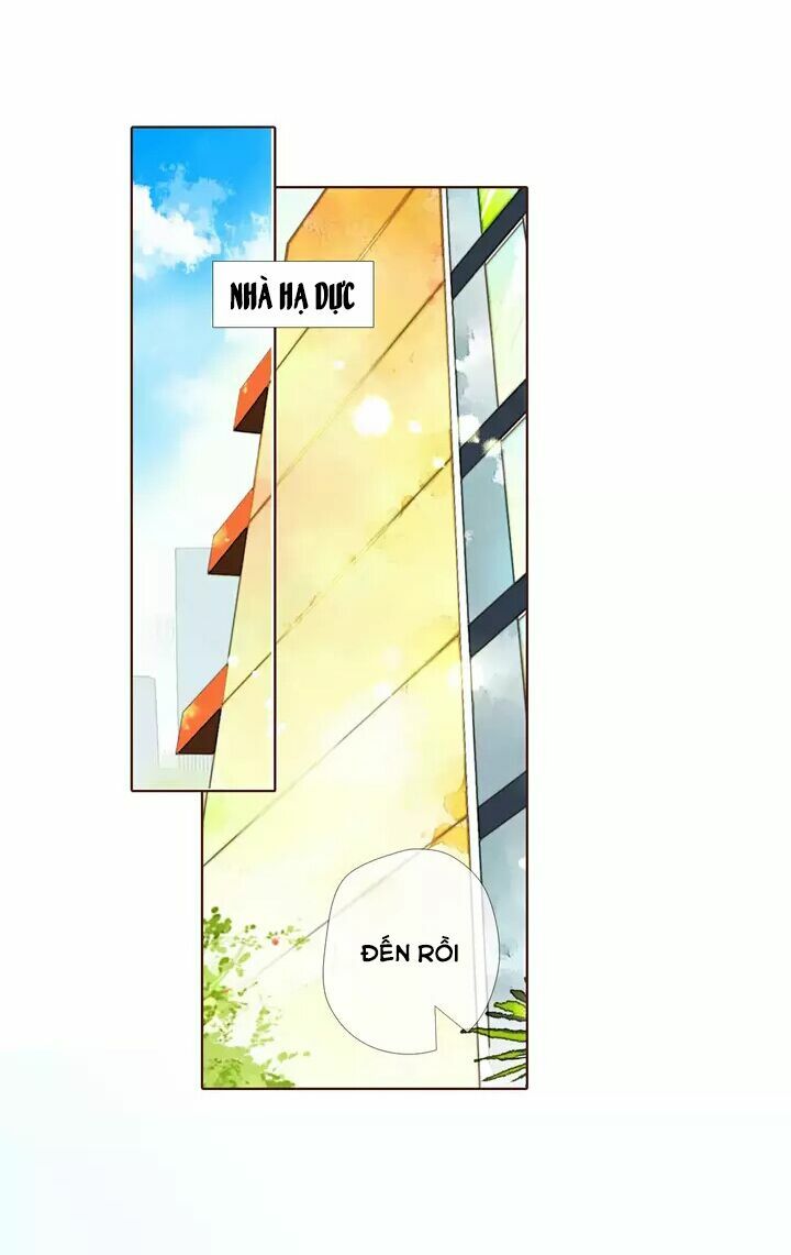 Tình yêu là màu hoa anh thảo chapter 30.2 5