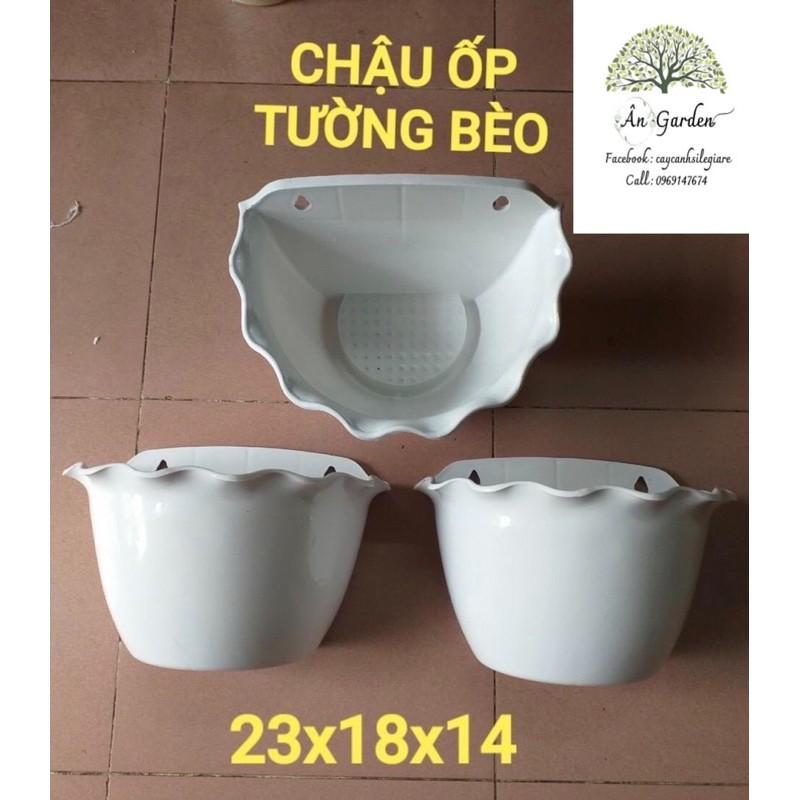 chậu ốp tường bán nguyệt lượn sóng