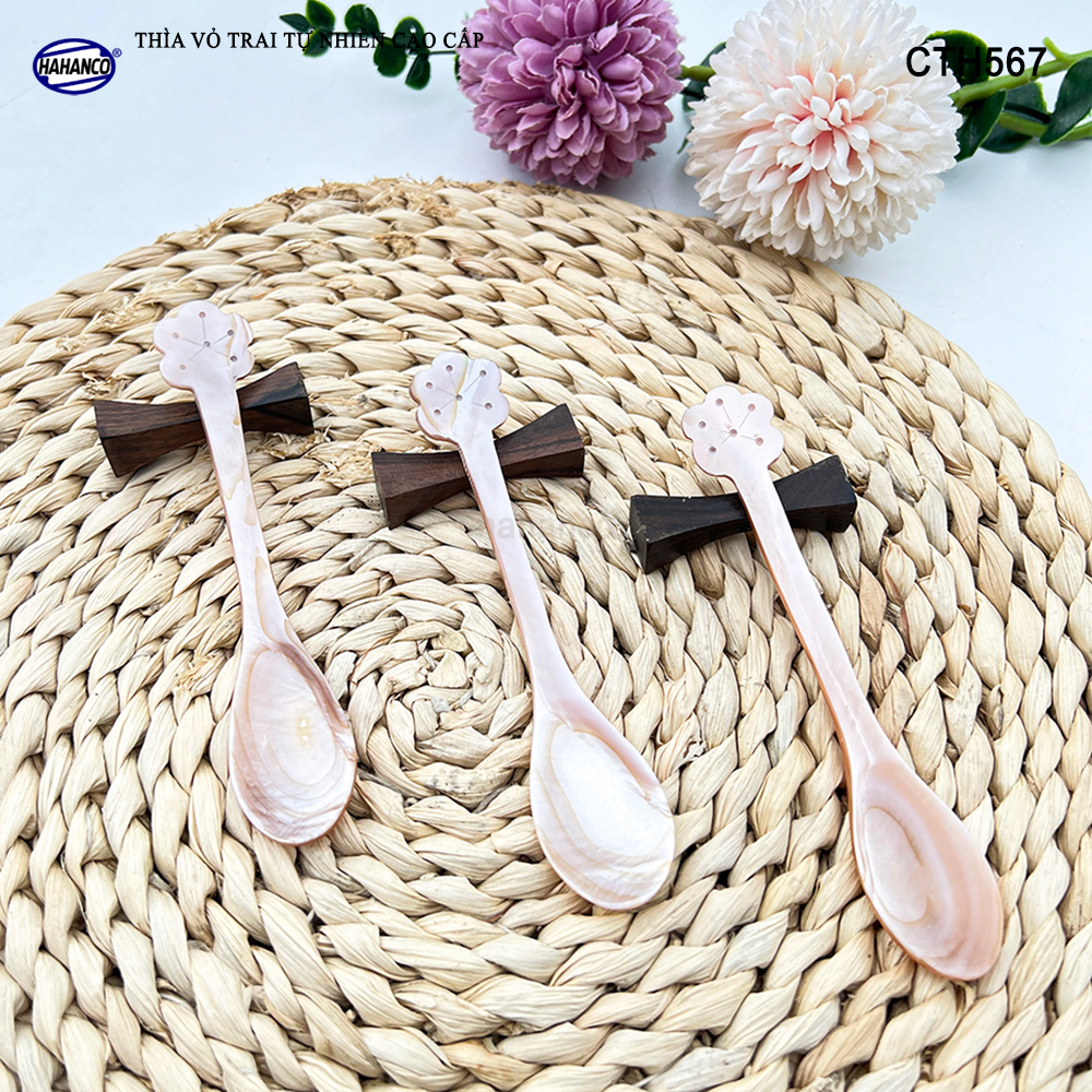 Muỗng Cà Phê Gia Vị Bằng Xà Cừ Tiêu Chuẩn Xuất Khẩu - HAHANCO - CTH567