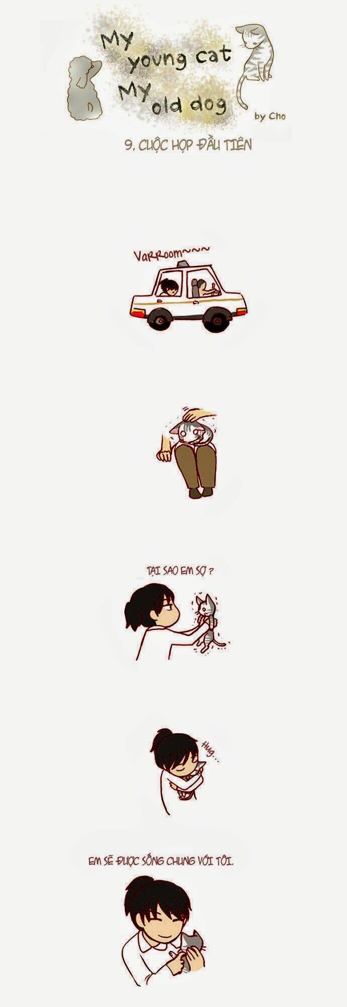 mèo con và chú chó già của tôi chapter 9 1