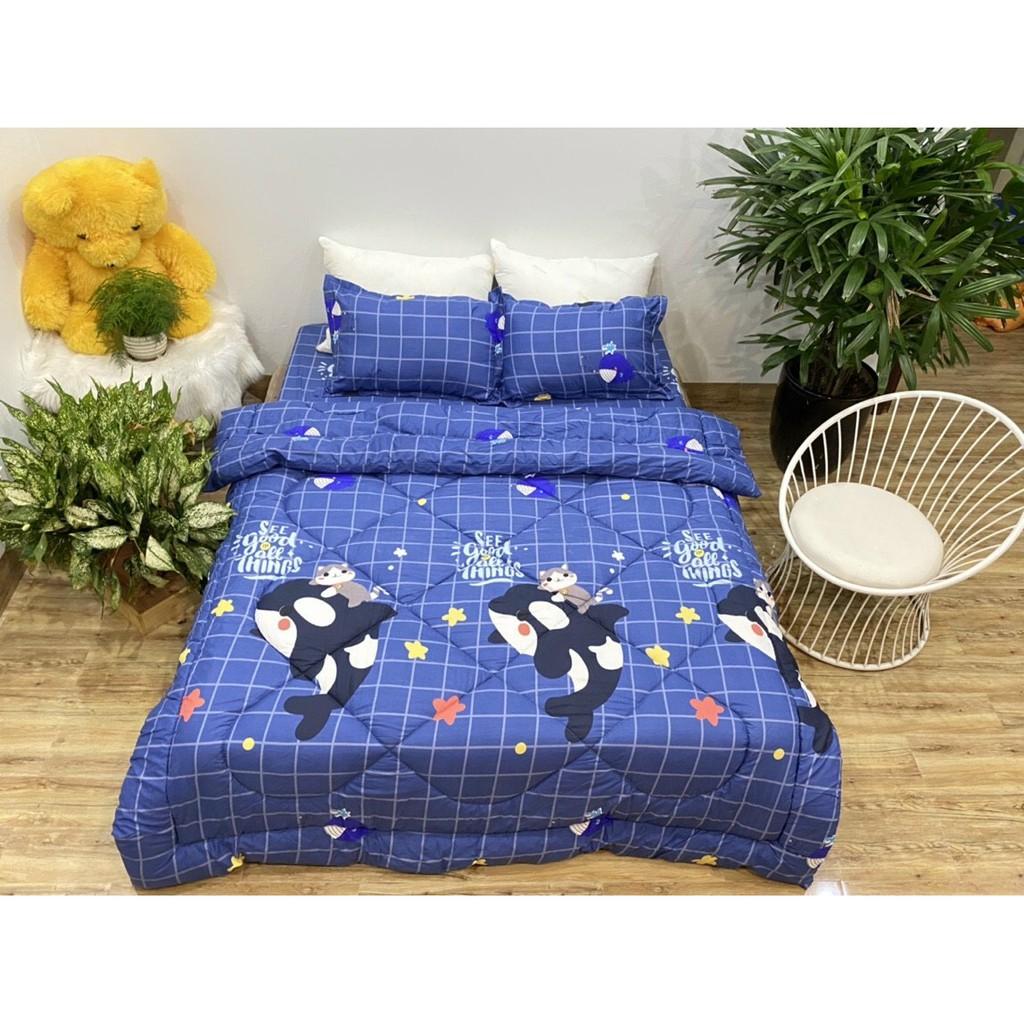 Trọn bộ 5 món chăn phao ga gối cotton poly nhập khẩu Hàn Quốc size giường 1m8*2m