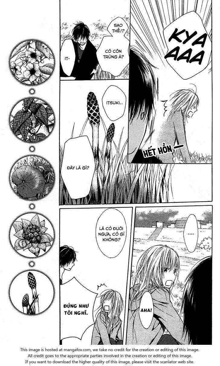 shokubutsu zukan chapter 2 18