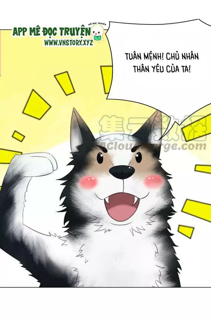 cực phẩm phế vật tiểu thư chapter 105 16