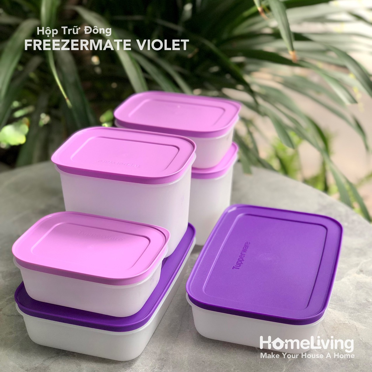 Bộ Trữ Đông Tupperware Freezermate Violet Set 6