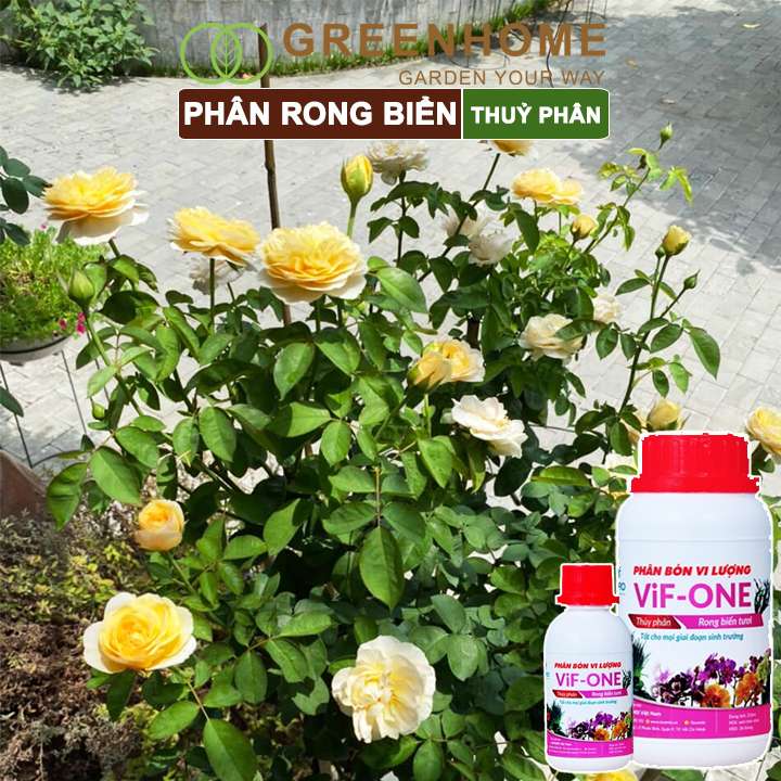 Phân bón lá Lavamix, rong biển, chai 100ml, siêu kích rễ, mầm lá, hoa hồng, lan, các lại rau |Greenhome