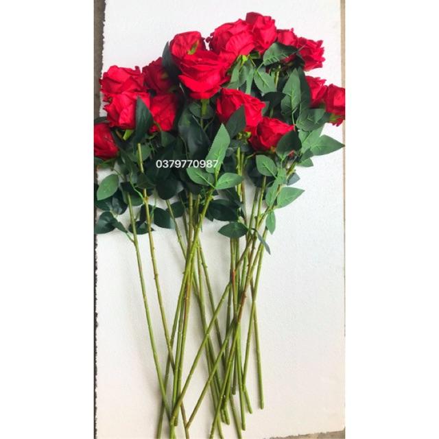 Hoa hồng nhung giả cắm lọ dài 60cm, ảnh thật do shop chụp, hàng loại 1