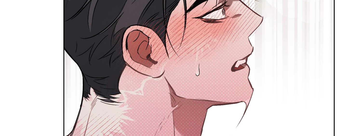 định rõ mối quan hệ chapter 41 219