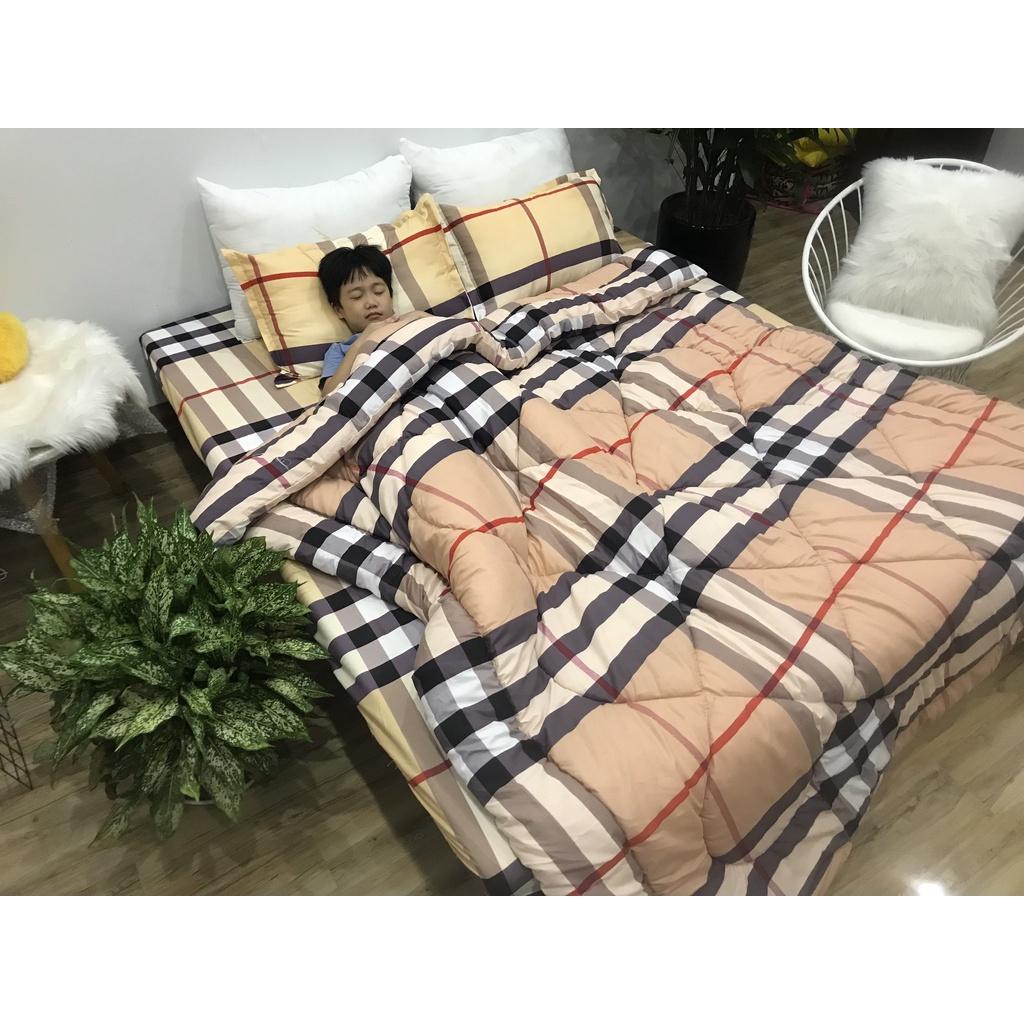 Mền Bông Hơi Siêu Nhẹ Mùa Đông Trần Phao Poly Cotton Có Ruột Dày Hàng Loại 1 Được Chọn Mẫu