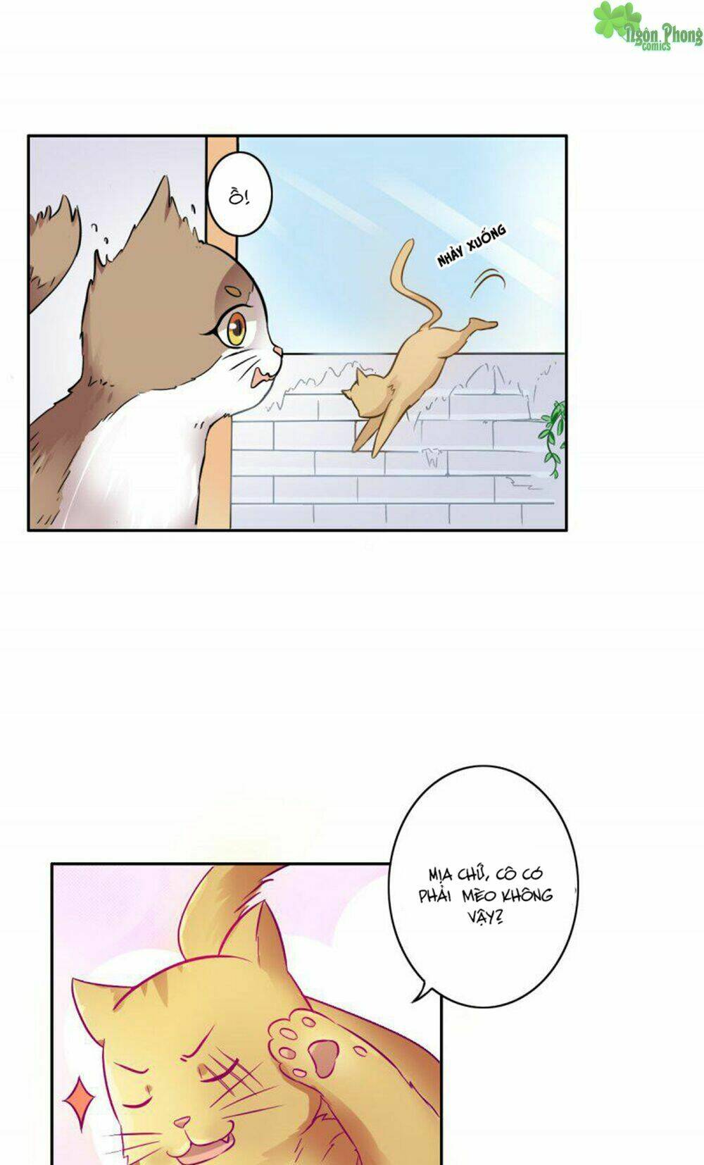 hai chú mèo totem chapter 4 5