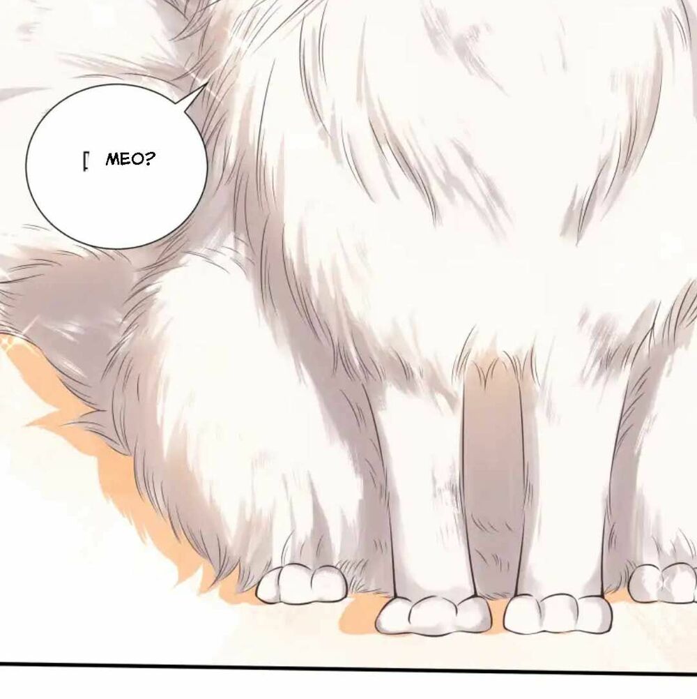 nam thần ai cũng muốn lấy ta chapter 26 37