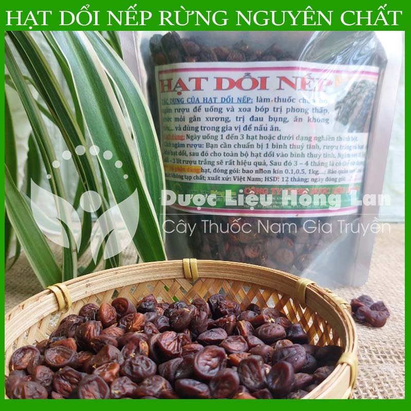 500gram Hạt dổi nếp khô sạch chuẩn rừng loại 1