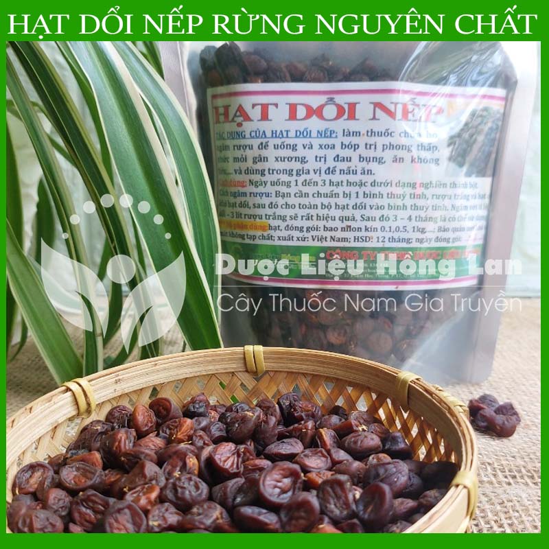 1kg Hạt dổi nếp khô sạch chuẩn rừng loại 1