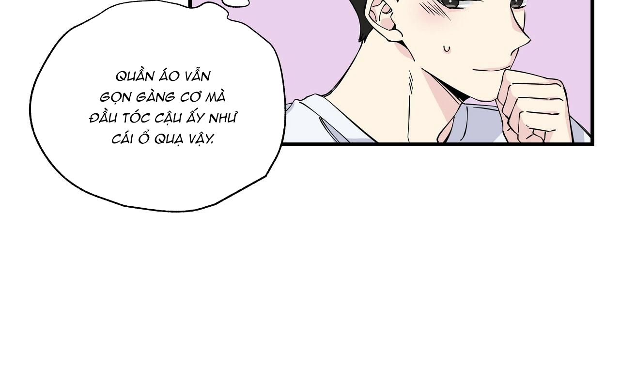 vị ngọt đôi môi chapter 6 33