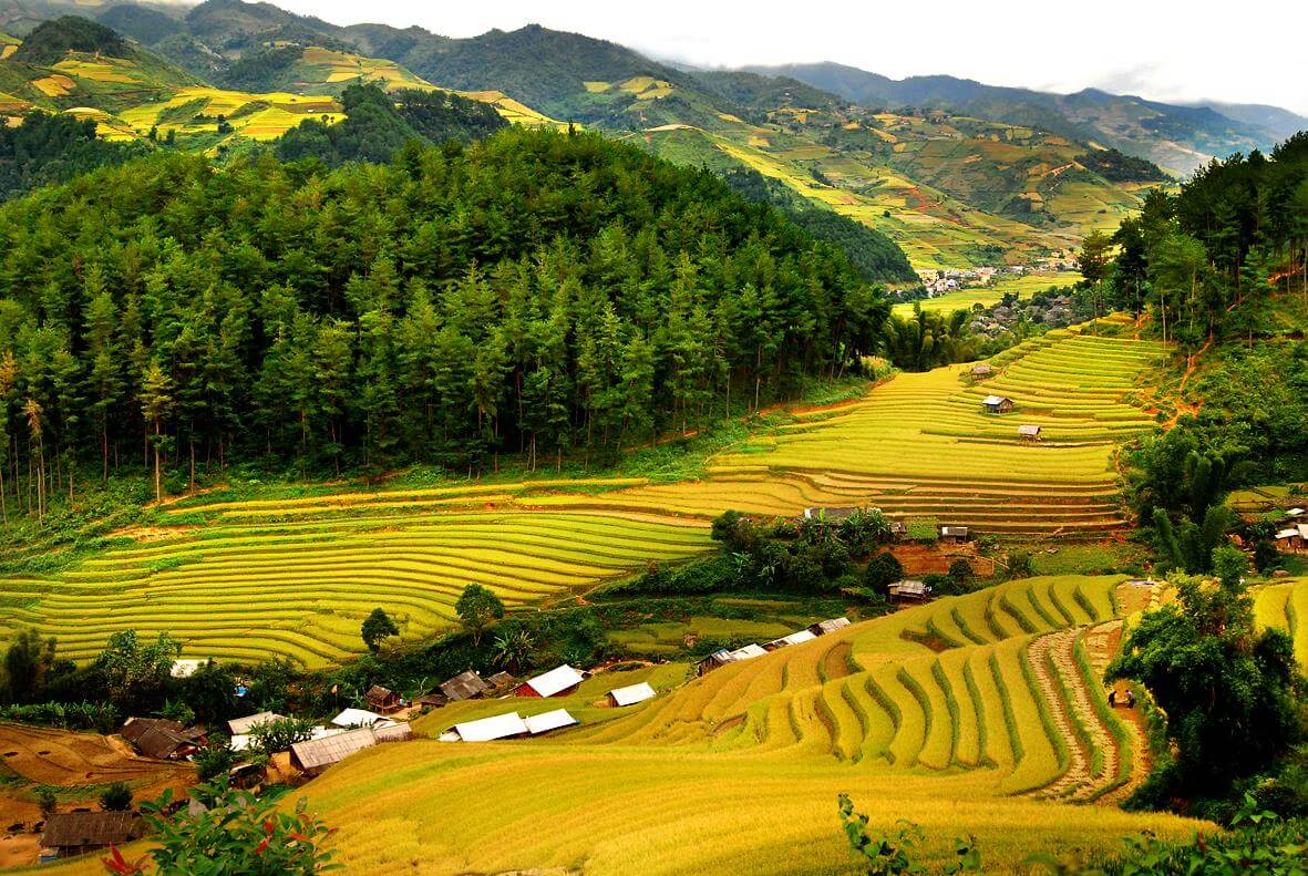 TOUR HÀ NỘI - PÙ LUÔNG – MAI CHÂU – HÀ NỘI: SẮC LÚA VÀNG VÙNG CAO THANH HÓA