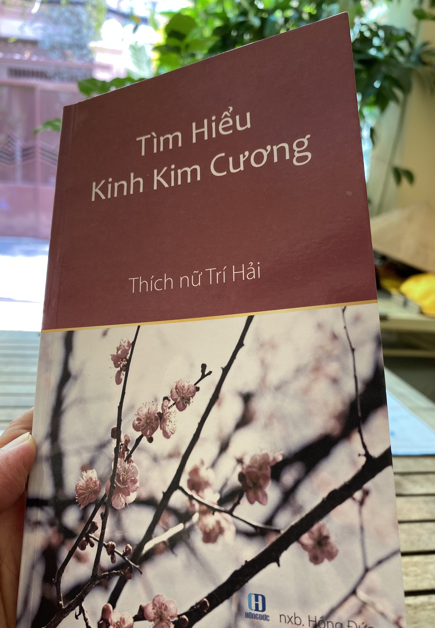 Tìm hiểu Kinh Kim Cang - Ni sư Trí Hải (Sách Kèm Quà Tặng)