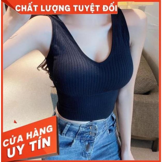 Áo Lót Nữ Bra Tập Gym Thể Thao Len Tăm Hàn Kết Hợp Với Vest Khoác Ngoài Thanh Lịch V90