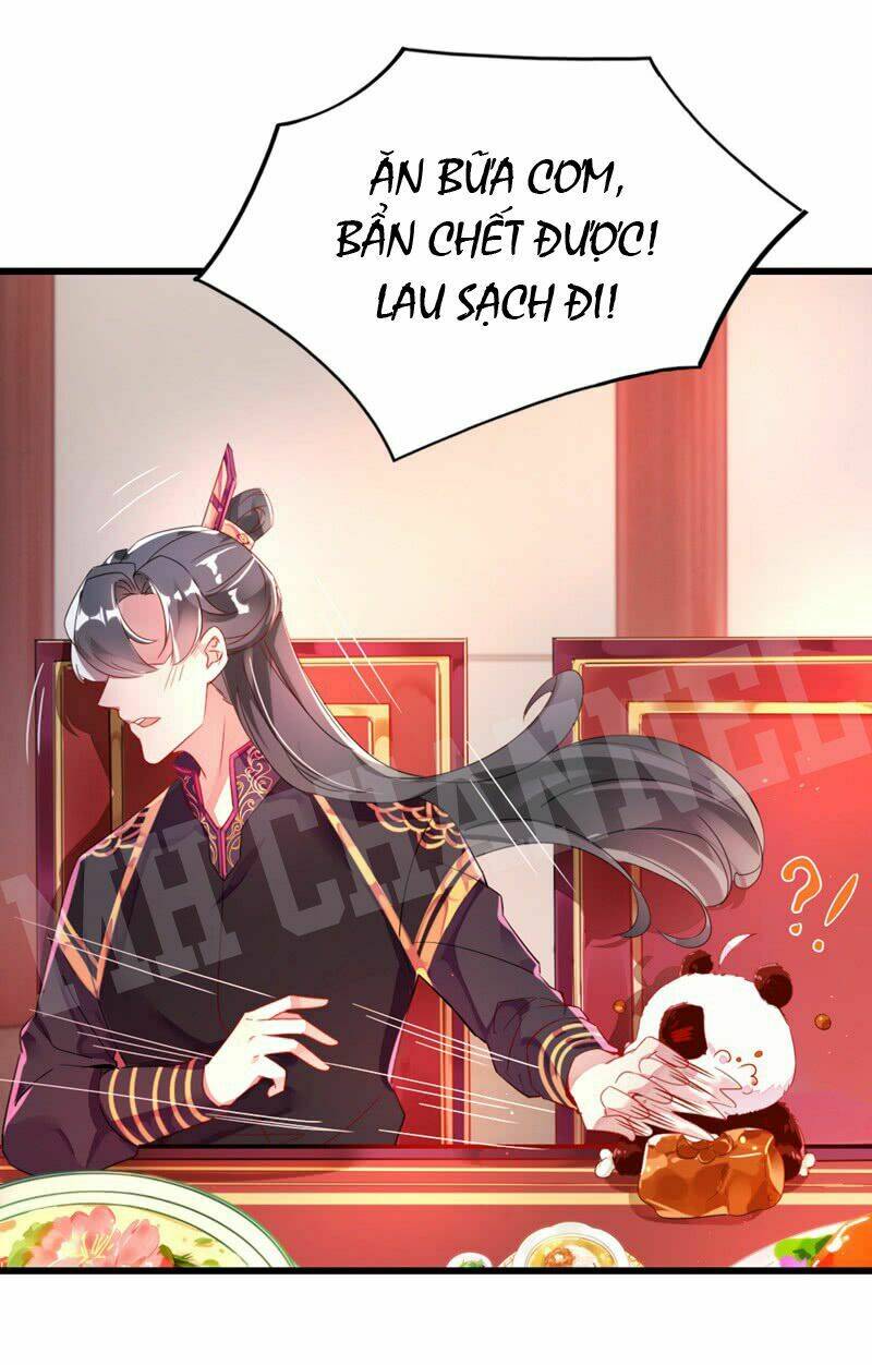 thiên thần gấu trúc muốn được ôm chapter 12 8