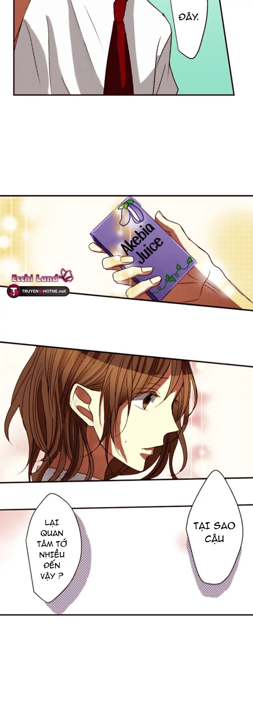 Tôi Ghét Nụ Cười Ấy chapter 11.1 - Trang 4