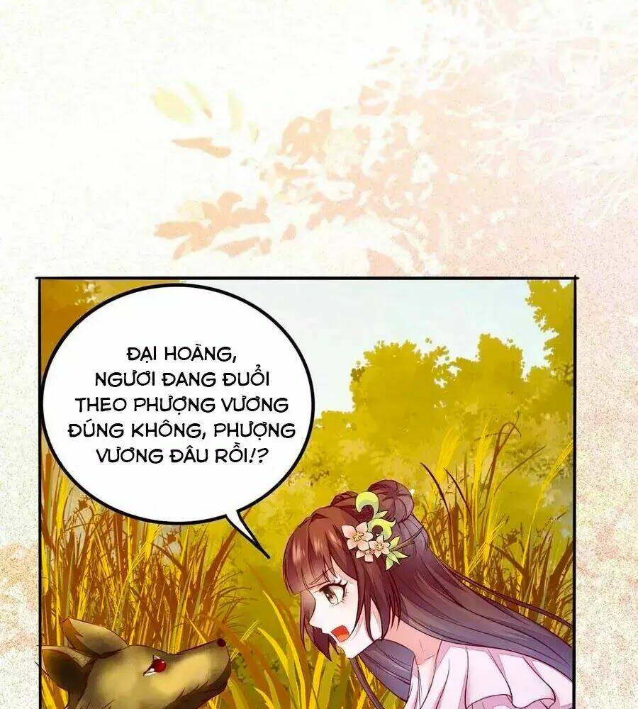 thần y khí nữ: ngự thú cuồng phi của quỷ đế chapter 73 77