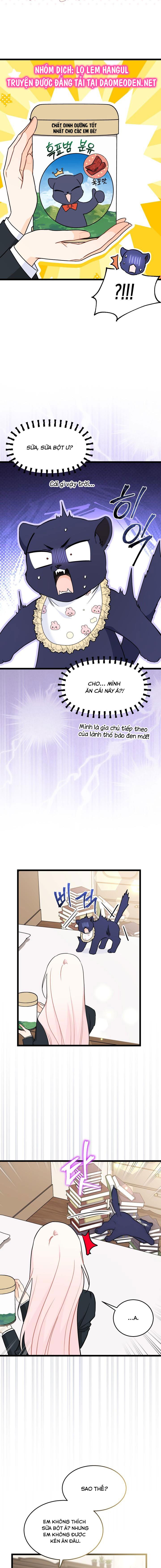 mối liên kết giữa báo đen và bé thỏ chapter 162 2