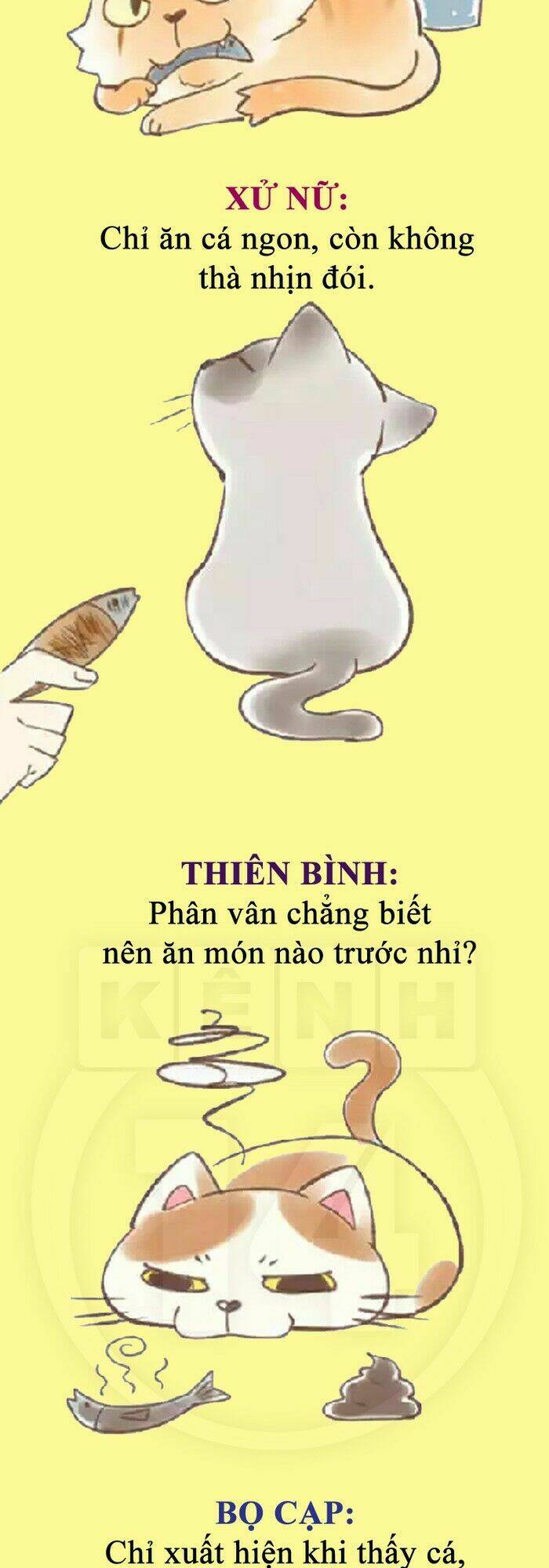 12 cung hoàng đạo vui chapter 36 14