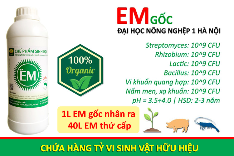 Chế phẩm sinh học EM gốc. Dùng cho Nông Nghiệp Sạch. Men vi sinh Đại Học Nông Nghiệp 1 Hà Nội. Chứa hàng tỷ bào tử hữu hiệu. Từ 1 lít EM gốc sản xuất ra 40 lít EM thứ cấp