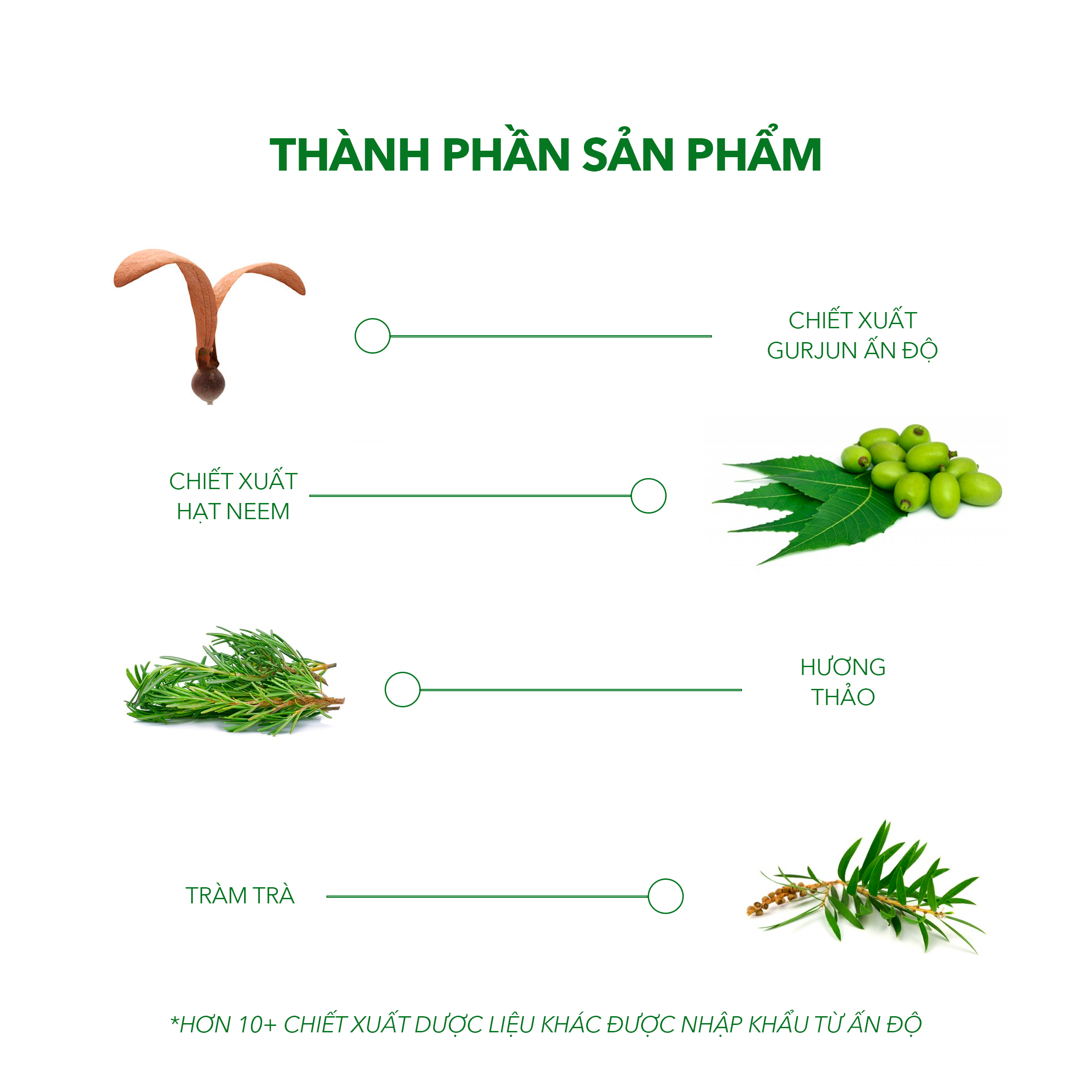 Ezema 50 Giải Pháp Ngăn Ngừa Nấm Da Đầu, Viêm Da Tiết Bã - Không Tái Phát