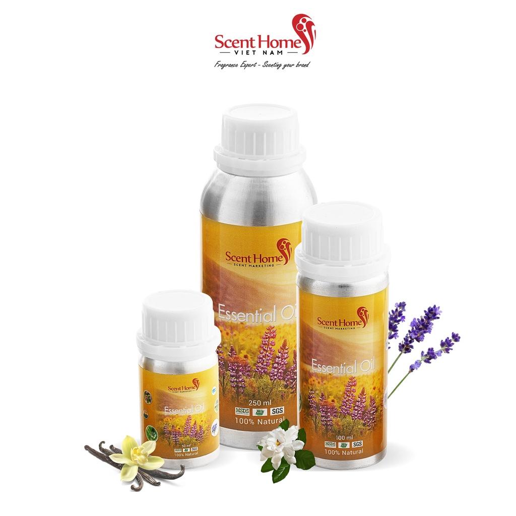 Tinh dầu Scent Homes - mùi hương