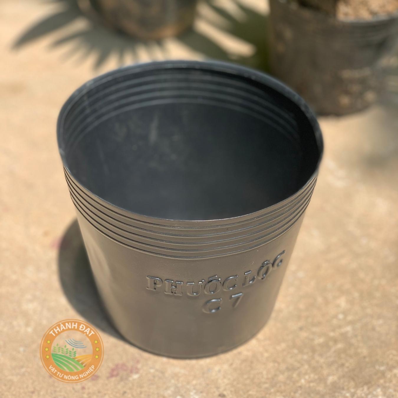 50 Bầu ươm cây cứng C7, chậu nhựa đen trồng cây, ươm cây hàng tốt
