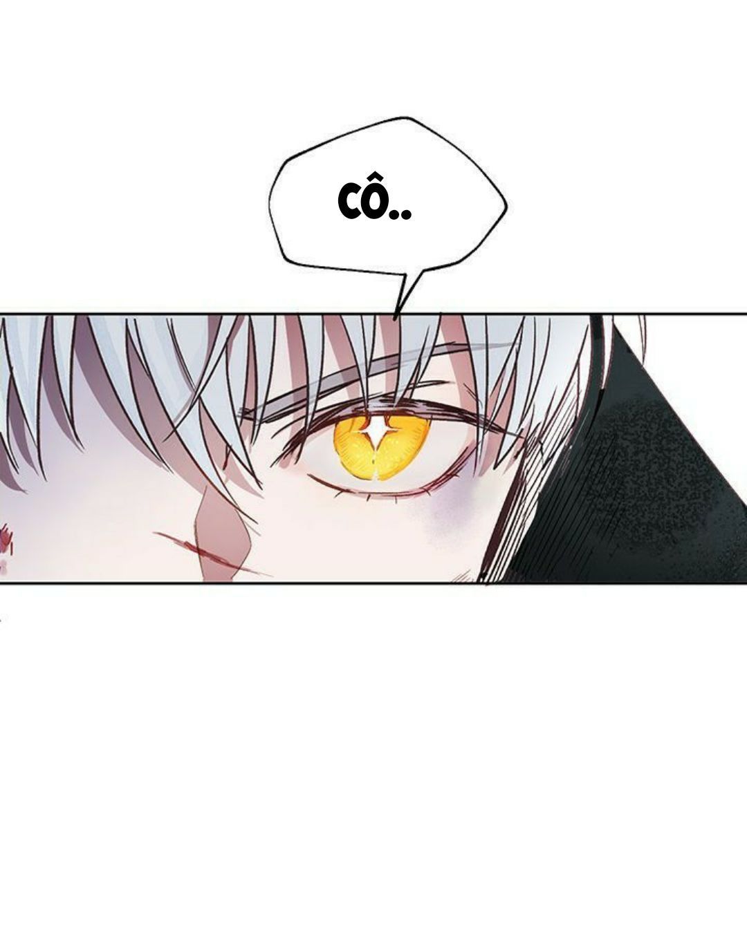 cách để cứu rỗi anh trai của nữ chính chapter 3 10