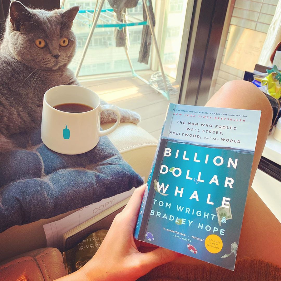 Billion Dollar Whale: The Man Who Fooled Wall Street, Hollywood, and the World