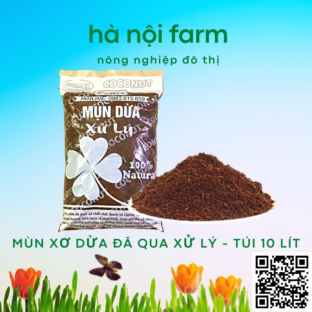 Túi 10L - Mùn Dừa, Xơ Dừa Đã Qua Xử Lý . Trồng Rau Sạch và Hoa Hồng Bằng Đất Sạch, Xơ Dừa, Trấu Hun Và Phân Bón Hữu Cơ