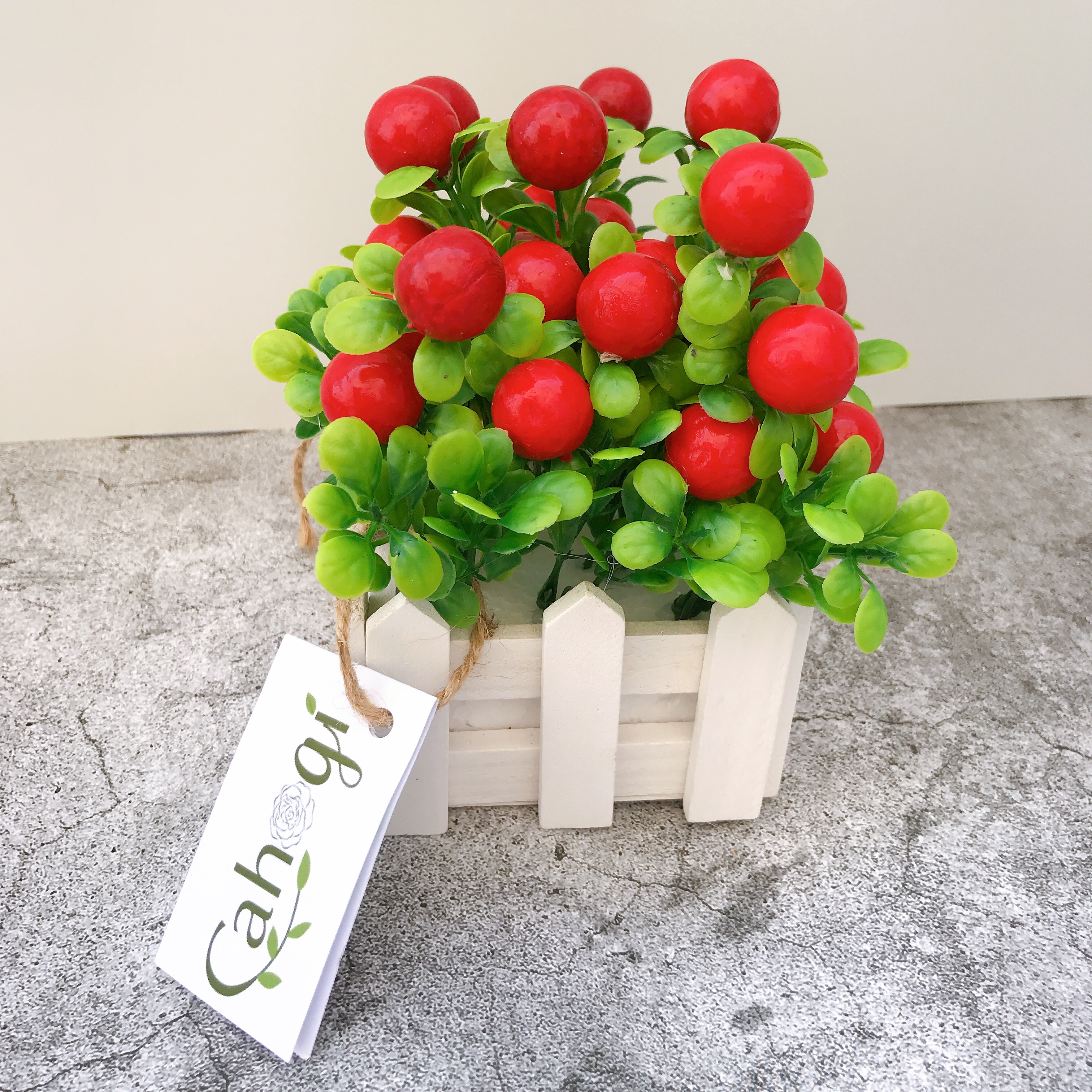 Chậu Cây Cherry Giả Đỏ Mọng