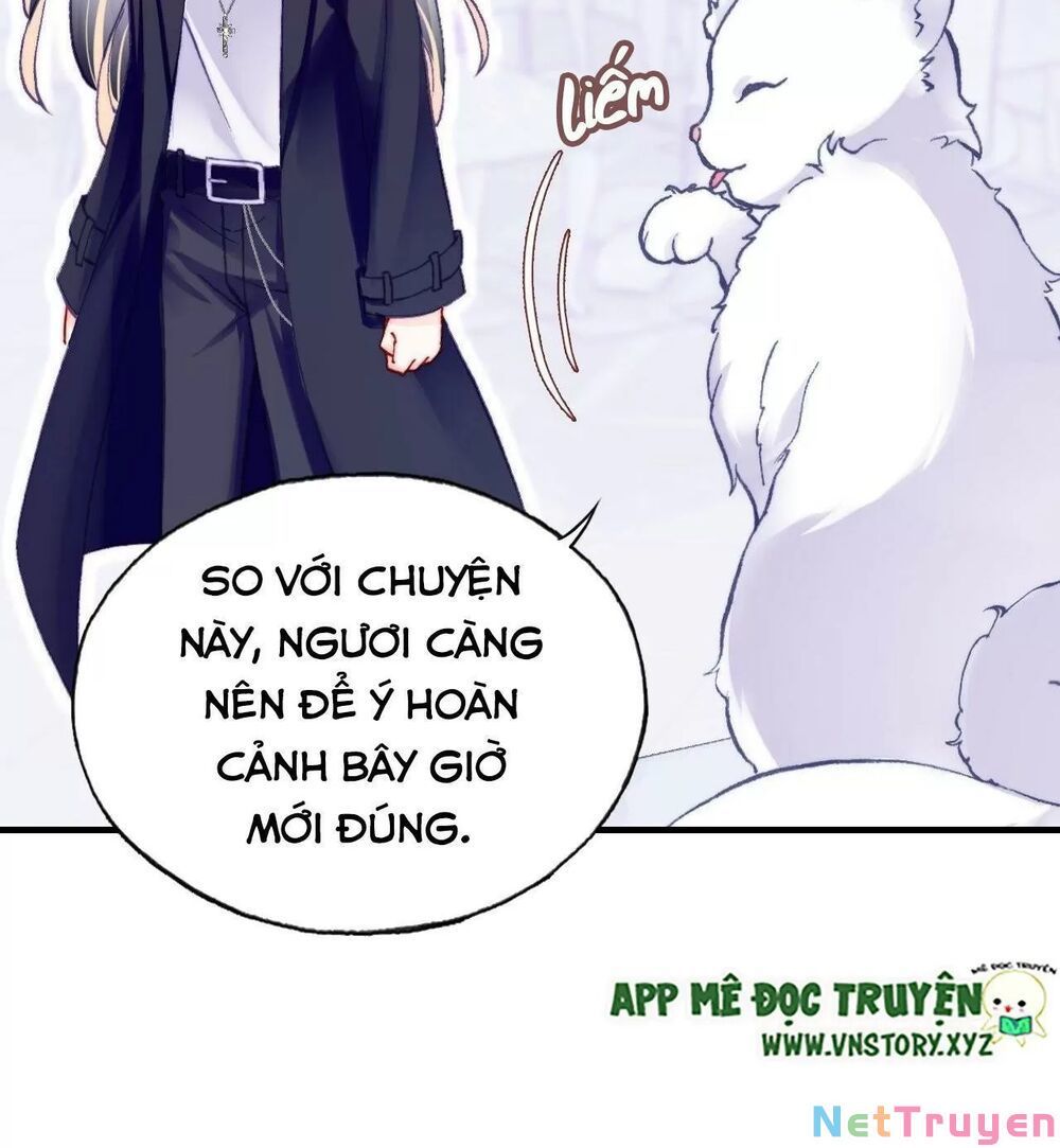 lại bị bệnh chiều chuộng quấn lấy chapter 63 33