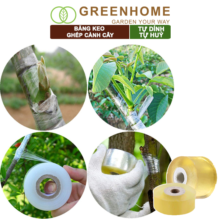 Keo Ghép Cành Greenhome, Tự Dính, Tự Huỷ, Bảo Vệ Mối Ghép Nhanh Liền, Dễ Sử Dụng, Nhiều Kích Thước