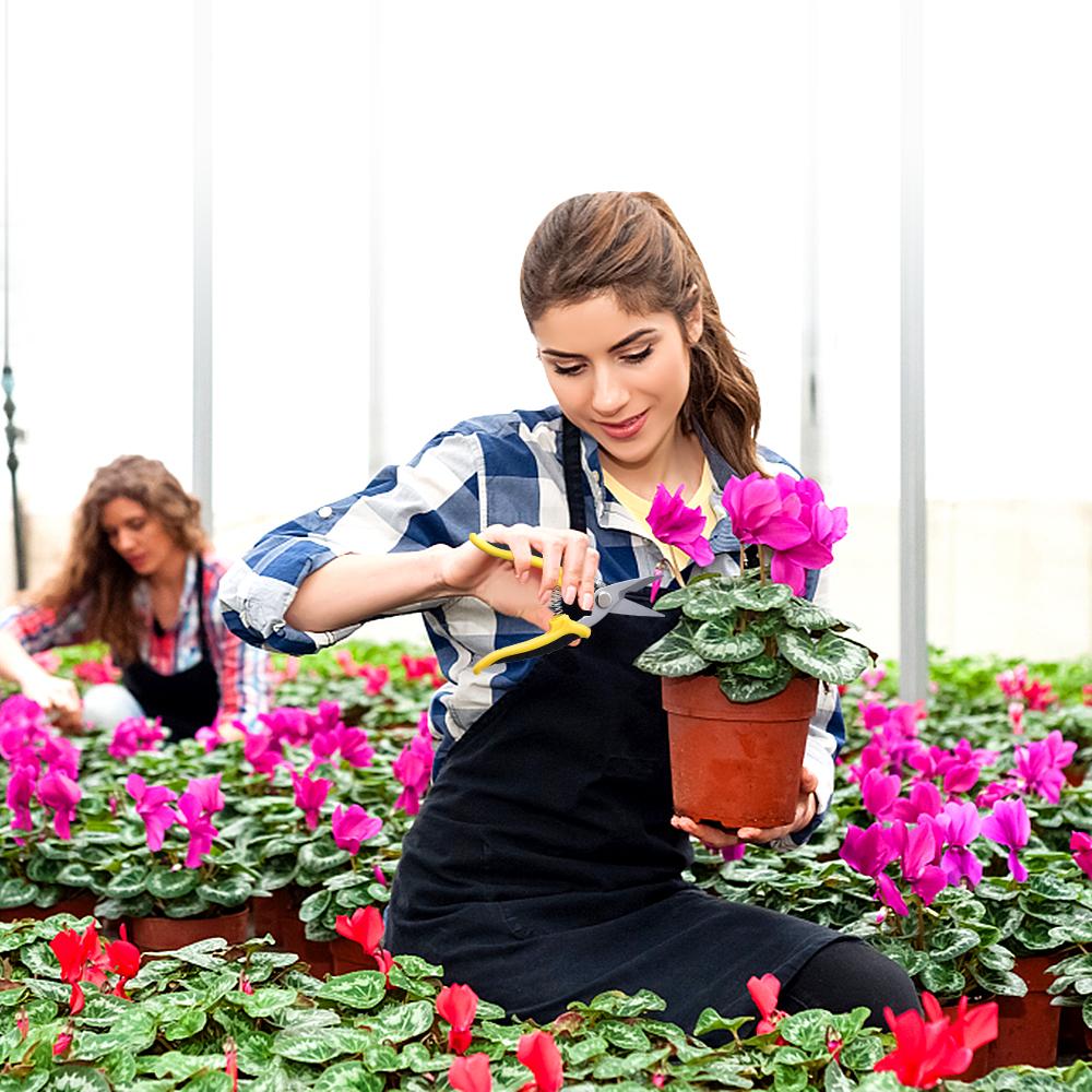 3 Kéo Cắt Tỉa Làm Vườn Tỉa Cây Cầm Tay Máy Tỉa Bằng Tay Vườn Secateurs Cắt Nhánh Thép Không Gỉ <<