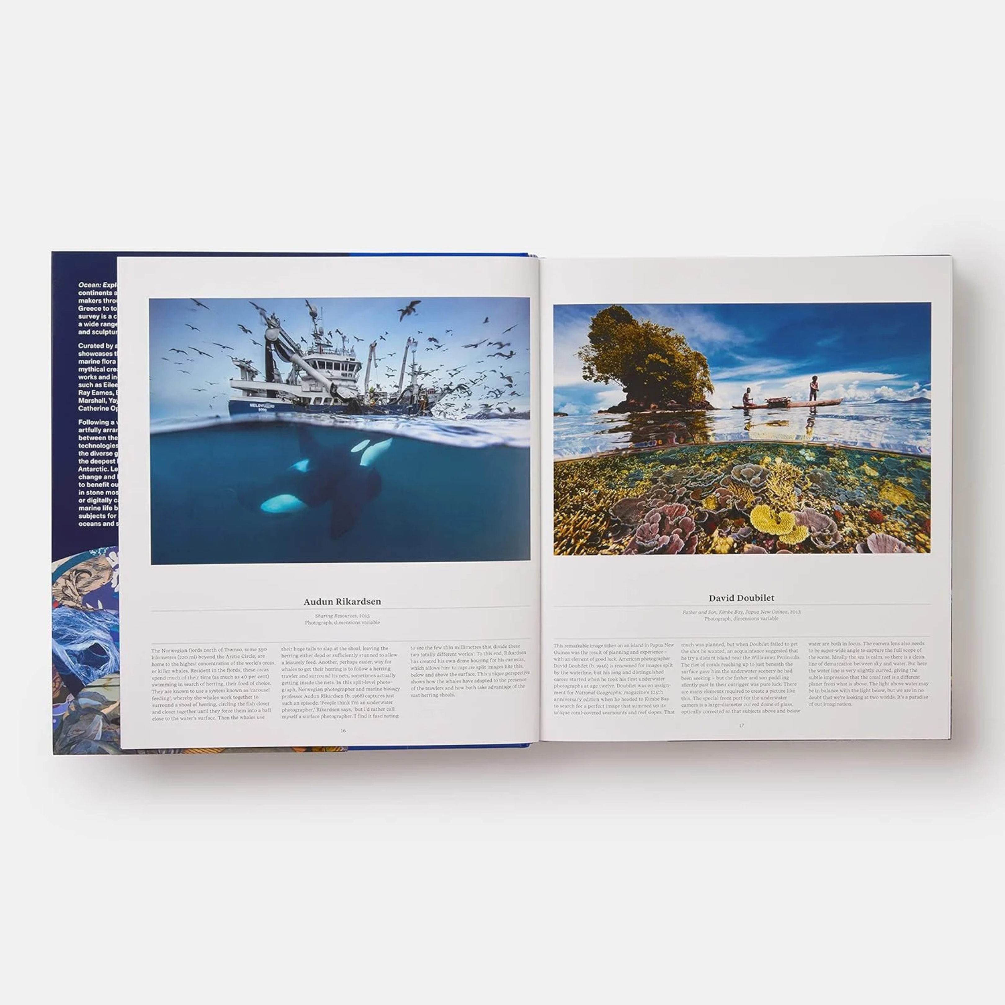 Artbook - Sách Tiếng Anh -  Ocean: Exploring the Marine World