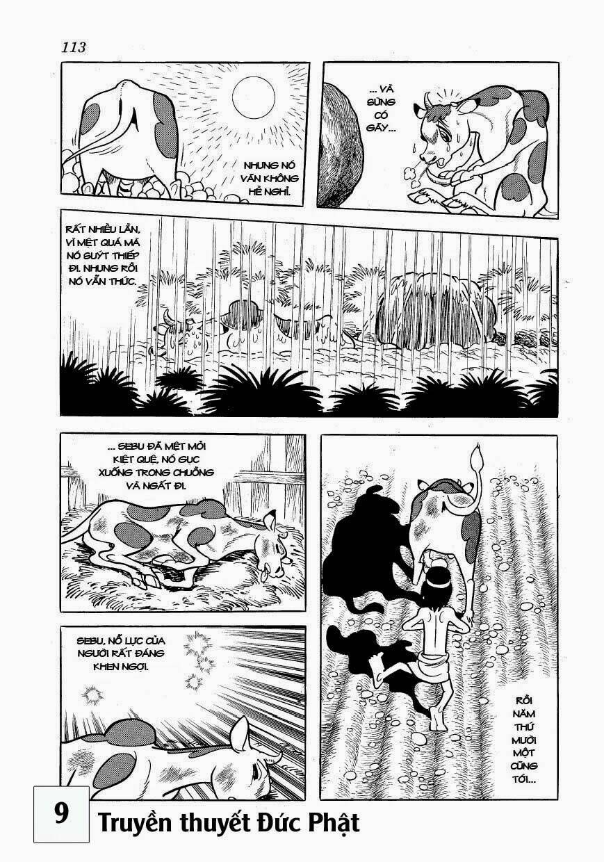 buddha - truyền thuyết đức phật chapter 41 15