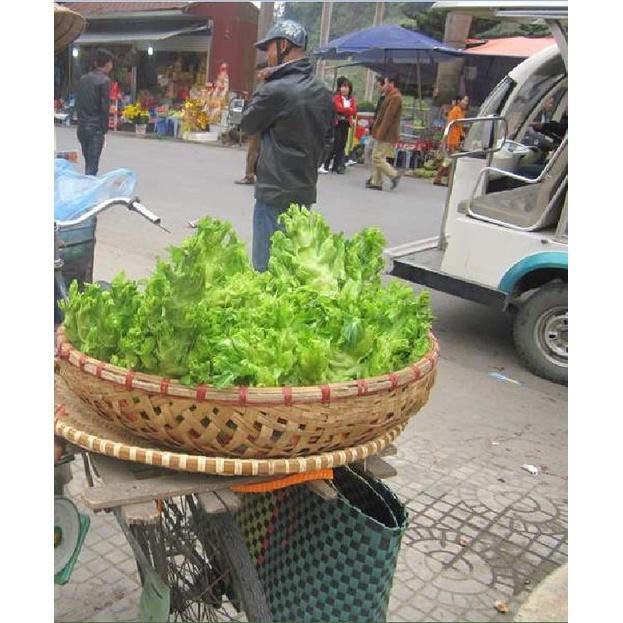 Hạt giống rau cải mầm đá F1 - 1 gói 0.2 gram
